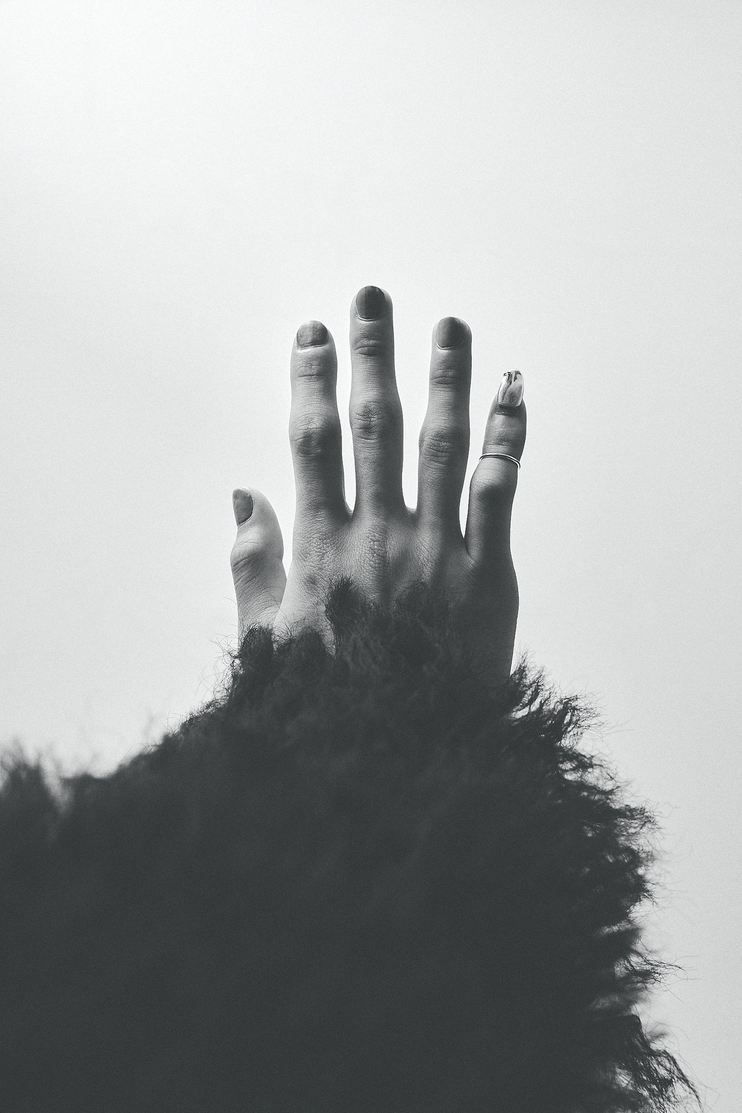 nail ring (piercing)<n-003>