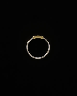 Bi-color Pipe Ring/silver base <bi-002>