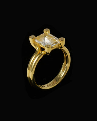 Double Pipe OCT Ring <dpor-001,dpor-001-g>