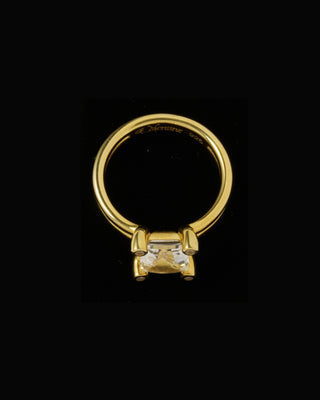 Double Pipe OCT Ring <dpor-001,dpor-001-g>